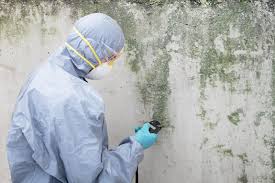 Best Biohazard Mold Removal  in USA